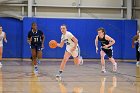 WBBall vs MHC  Wheaton College women's basketball vs Mount Holyoke College. - Photo By: KEITH NORDSTROM : Wheaton, basketball